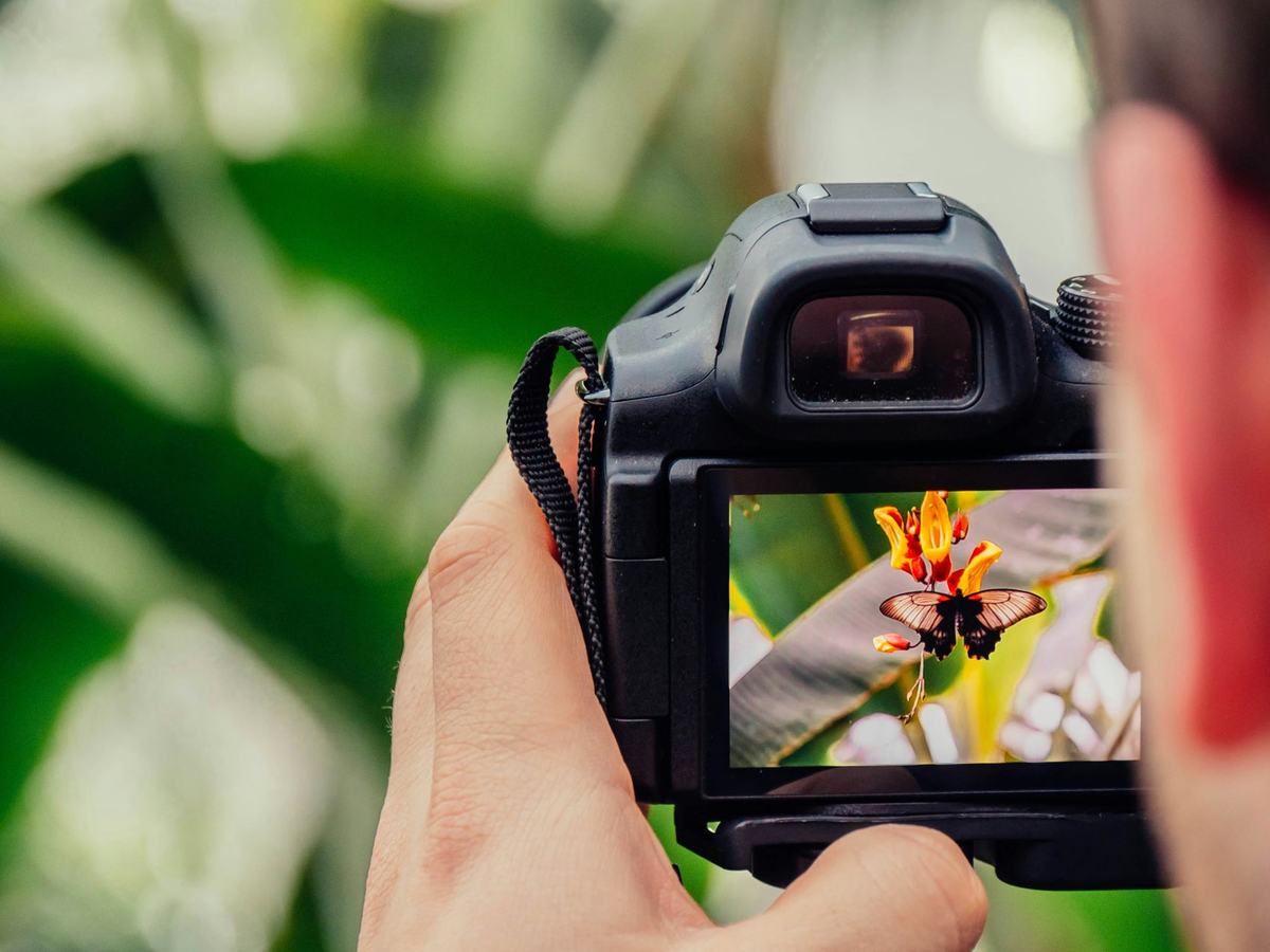 Una macchina fotografica inquadra un fiore: il soggetto è nitido e lo sfondo è completamente sfocato
